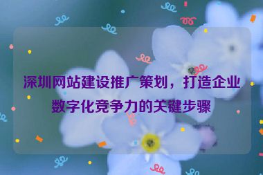 深圳網(wǎng)站建設(shè)推廣策劃，打造企業(yè)數(shù)字化競爭力的關(guān)鍵步驟