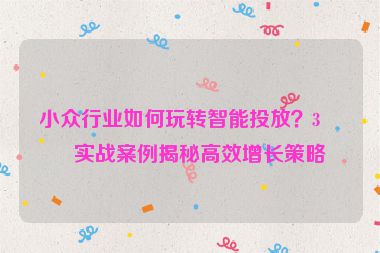 小眾行業(yè)如何玩轉(zhuǎn)智能投放？3個(gè)實(shí)戰(zhàn)案例揭秘高效增長(zhǎng)策略