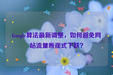 Google算法最新調(diào)整，如何避免網(wǎng)站流量斷崖式下跌？