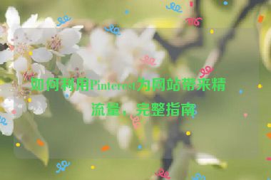 如何利用Pinterest為網(wǎng)站帶來精準流量，完整指南