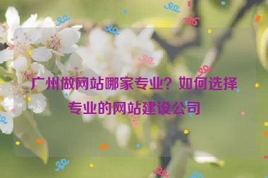 廣州做網(wǎng)站哪家專業(yè)？如何選擇專業(yè)的網(wǎng)站建設(shè)公司