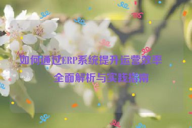 如何通過ERP系統(tǒng)提升運營效率，全面解析與實踐指南