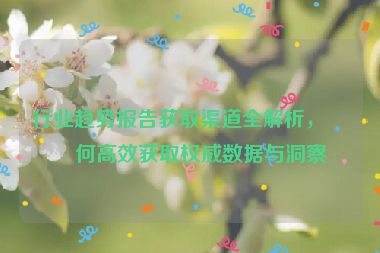行業(yè)趨勢報告獲取渠道全解析，如何高效獲取權(quán)威數(shù)據(jù)與洞察