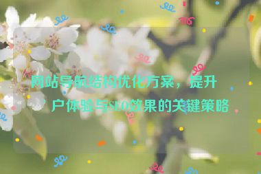 網(wǎng)站導(dǎo)航結(jié)構(gòu)優(yōu)化方案，提升用戶(hù)體驗(yàn)與SEO效果的關(guān)鍵策略