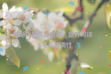 網(wǎng)站字體選擇指南，提升可讀性與品牌調(diào)性