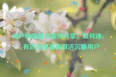 用戶喚醒郵件案例分享，如何通過有效溝通重新激活沉睡用戶