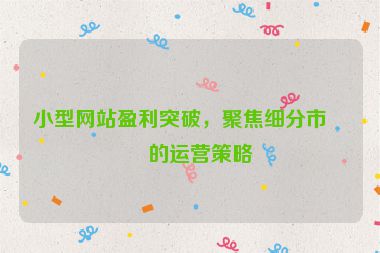 小型網(wǎng)站盈利突破，聚焦細分市場的運營策略