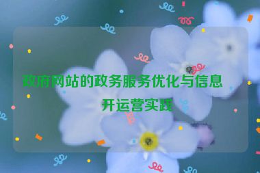 政府網(wǎng)站的政務(wù)服務(wù)優(yōu)化與信息公開(kāi)運(yùn)營(yíng)實(shí)踐