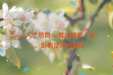 Google人工懲罰 vs 算法懲罰，區(qū)別、影響及應(yīng)對(duì)策略