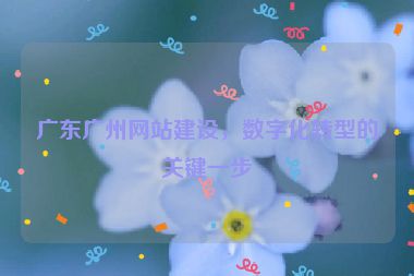 廣東廣州網(wǎng)站建設，數(shù)字化轉型的關鍵一步