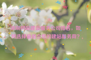 深圳網(wǎng)站建設(shè)服務(wù)公司排名，如何選擇最適合您的建站服務(wù)商？