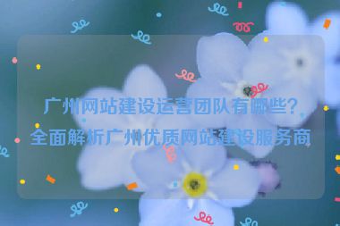 廣州網(wǎng)站建設(shè)運營團隊有哪些？全面解析廣州優(yōu)質(zhì)網(wǎng)站建設(shè)服務(wù)商