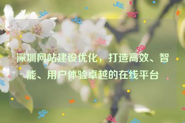 深圳網(wǎng)站建設(shè)優(yōu)化，打造高效、智能、用戶體驗卓越的在線平臺