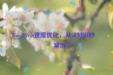 WordPress速度優(yōu)化，從5秒到1秒的案例