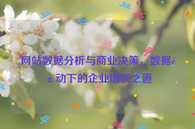 網(wǎng)站數(shù)據(jù)分析與商業(yè)決策，數(shù)據(jù)驅(qū)動下的企業(yè)增長之道