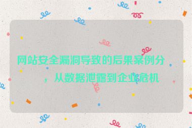 網(wǎng)站安全漏洞導(dǎo)致的后果案例分析，從數(shù)據(jù)泄露到企業(yè)危機(jī)