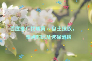 百度推廣代理商 vs 自主投放，優(yōu)缺點(diǎn)對比及選擇策略