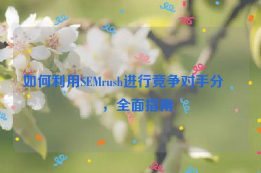 如何利用SEMrush進(jìn)行競爭對(duì)手分析，全面指南