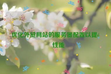 優(yōu)化外貿(mào)網(wǎng)站的服務器配置以提高性能