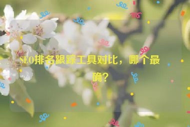 SEO排名跟蹤工具對比，哪個最準確？