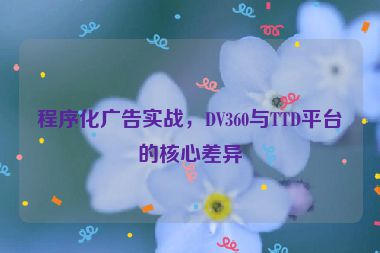程序化廣告實戰(zhàn)，DV360與TTD平臺的核心差異
