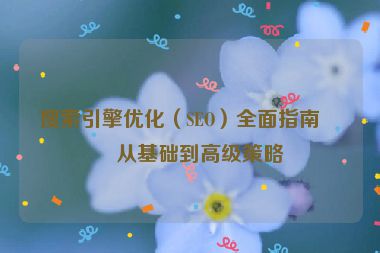 搜索引擎優(yōu)化（SEO）全面指南，從基礎(chǔ)到高級策略