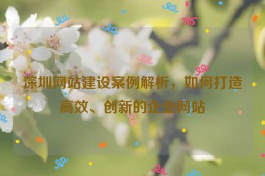 深圳網(wǎng)站建設(shè)案例解析，如何打造高效、創(chuàng)新的企業(yè)網(wǎng)站