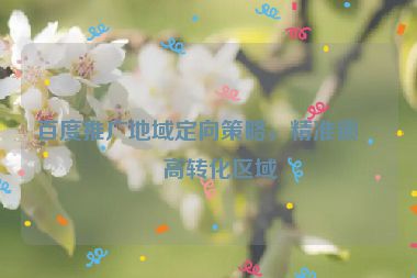 百度推廣地域定向策略，精準(zhǔn)鎖定高轉(zhuǎn)化區(qū)域