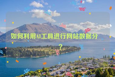 如何利用AI工具進(jìn)行網(wǎng)站數(shù)據(jù)分析？