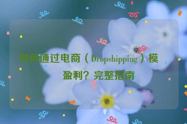 如何通過電商（Dropshipping）模式盈利？完整指南