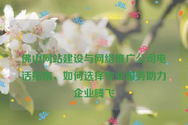 佛山網(wǎng)站建設(shè)與網(wǎng)絡(luò)推廣公司電話指南，如何選擇專業(yè)服務(wù)助力企業(yè)騰飛