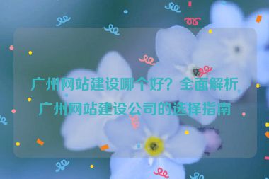 廣州網(wǎng)站建設(shè)哪個(gè)好？全面解析廣州網(wǎng)站建設(shè)公司的選擇指南