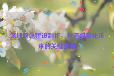 深圳網(wǎng)站建設(shè)制作，打造數(shù)字化未來的關(guān)鍵步驟