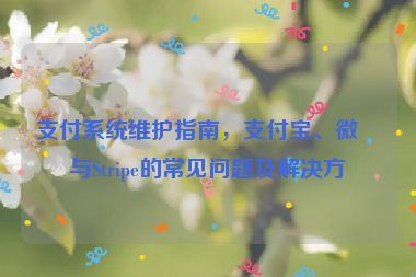 支付系統(tǒng)維護(hù)指南，支付寶、微信與Stripe的常見問題及解決方案