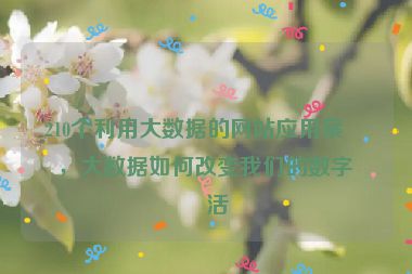 210個利用大數(shù)據(jù)的網(wǎng)站應(yīng)用案例，大數(shù)據(jù)如何改變我們的數(shù)字生活