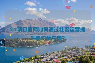 NFT項(xiàng)目官網(wǎng)如何通過社區(qū)運(yùn)營提升用戶參與度？
