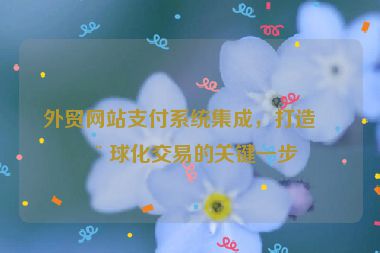 外貿(mào)網(wǎng)站支付系統(tǒng)集成，打造全球化交易的關(guān)鍵一步