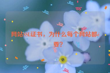 網(wǎng)站SSL證書，為什么每個網(wǎng)站都需要？