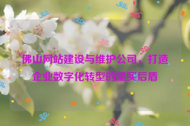佛山網(wǎng)站建設(shè)與維護公司，打造企業(yè)數(shù)字化轉(zhuǎn)型的堅實后盾