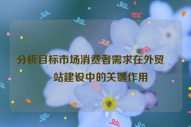 分析目標市場消費者需求在外貿(mào)網(wǎng)站建設中的關鍵作用