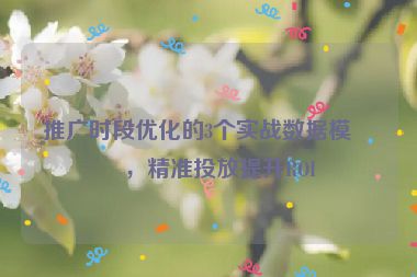 推廣時(shí)段優(yōu)化的3個(gè)實(shí)戰(zhàn)數(shù)據(jù)模型，精準(zhǔn)投放提升ROI