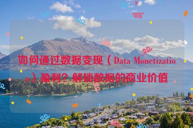 如何通過數(shù)據(jù)變現(xiàn)（Data Monetization）盈利？解鎖數(shù)據(jù)的商業(yè)價值