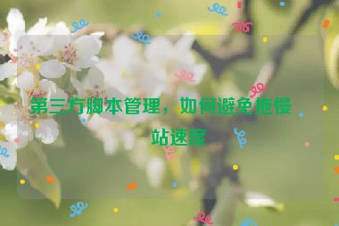 第三方腳本管理，如何避免拖慢網(wǎng)站速度