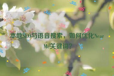 本地SEO與語音搜索，如何優(yōu)化Near Me關(guān)鍵詞？