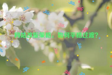 網(wǎng)站改版策略，如何平穩(wěn)過渡？