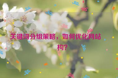 關鍵詞分組策略，如何優(yōu)化網(wǎng)站結構？