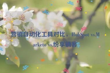 營銷自動化工具對比，HubSpot vs.Marketo vs.紛享銷客