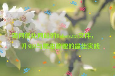 如何優(yōu)化網(wǎng)站的Robots.txt文件，提升SEO與爬蟲管理的最佳實踐