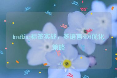 hreflang標簽實戰(zhàn)，多語言SEO優(yōu)化策略