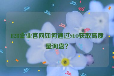 B2B企業(yè)官網(wǎng)如何通過(guò)SEO獲取高質(zhì)量詢盤？